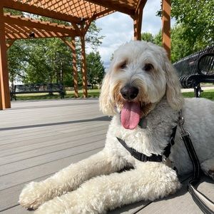 Meet your Posher, Deanna